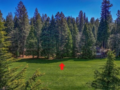 Tucked along the tranquil first fairways of Sequoia Woods Golf on Sequoia Woods Country Club in California - for sale on GolfHomes.com, golf home, golf lot