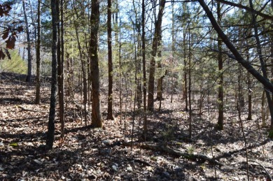 Three building lots on the banks of beautiful Lake Omaha in on Cherokee Village South Course in Arkansas - for sale on GolfHomes.com, golf home, golf lot