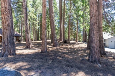Exceptional Lakeview Retreat in Lake Almanor Country Club - A on Lake Almanor Country Club in California - for sale on GolfHomes.com, golf home, golf lot