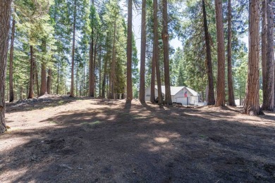 Exceptional Lakeview Retreat in Lake Almanor Country Club - A on Lake Almanor Country Club in California - for sale on GolfHomes.com, golf home, golf lot