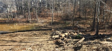 Build your dream home in the established Chapel Hill community on Chapel Hills Golf and Country Club in Georgia - for sale on GolfHomes.com, golf home, golf lot