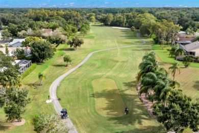 Discover the perfect blend of comfort, privacy, and resort-style on East Lake Woodlands Country Club in Florida - for sale on GolfHomes.com, golf home, golf lot
