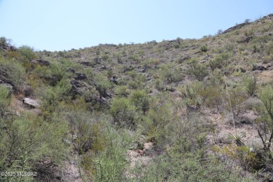 Discover the perfect opportunity to build your dream home on on Del Lago Golf Club in Arizona - for sale on GolfHomes.com, golf home, golf lot