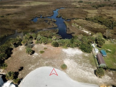 NO HOA ! NO CDD ! ONE OF THE LARGEST OVER SIZED LOTS IN THE on Sea Pines Golf Club in Florida - for sale on GolfHomes.com, golf home, golf lot