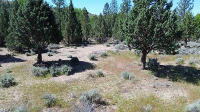 SPECTACULAR VIEWS OF MT. SHASTA AND GOLF COURSE - Discover this on Lake Shastina Golf Course in California - for sale on GolfHomes.com, golf home, golf lot