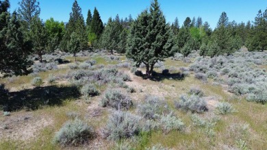 SPECTACULAR VIEWS OF MT. SHASTA AND GOLF COURSE - Discover this on Lake Shastina Golf Course in California - for sale on GolfHomes.com, golf home, golf lot