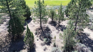 SPECTACULAR VIEWS OF MT. SHASTA AND GOLF COURSE - Discover this on Lake Shastina Golf Course in California - for sale on GolfHomes.com, golf home, golf lot