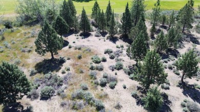 SPECTACULAR VIEWS OF MT. SHASTA AND GOLF COURSE - Discover this on Lake Shastina Golf Course in California - for sale on GolfHomes.com, golf home, golf lot