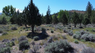 SPECTACULAR VIEWS OF MT. SHASTA AND GOLF COURSE - Discover this on Lake Shastina Golf Course in California - for sale on GolfHomes.com, golf home, golf lot