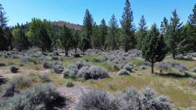 SPECTACULAR VIEWS OF MT. SHASTA AND GOLF COURSE - Discover this on Lake Shastina Golf Course in California - for sale on GolfHomes.com, golf home, golf lot