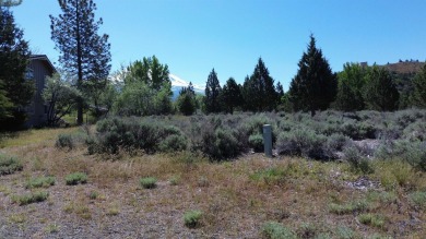 SPECTACULAR VIEWS OF MT. SHASTA AND GOLF COURSE - Discover this on Lake Shastina Golf Course in California - for sale on GolfHomes.com, golf home, golf lot