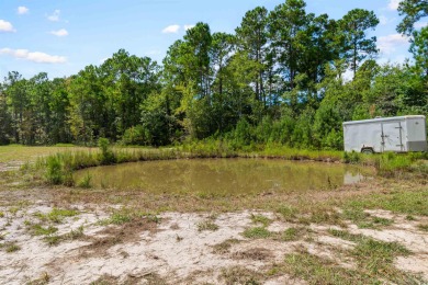 Welcome to your dream home--a custom-built residence perfectly on Crown Park Golf Club in South Carolina - for sale on GolfHomes.com, golf home, golf lot