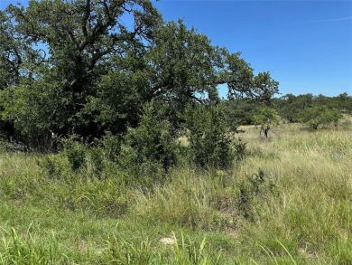 Lot 1078 Lake Breeze Drive, located in King's Point Cove Unit 3 on Hideout Golf Club and Resort  in Texas - for sale on GolfHomes.com, golf home, golf lot