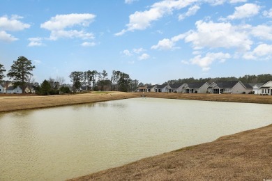 Welcome to this beautifully maintained home, a true gem in a on Palmetto Greens Golf and Country Club in South Carolina - for sale on GolfHomes.com, golf home, golf lot