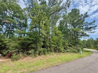 Take a look at this .5 acre Rayburn Country lot in Section E5 on Rayburn Country Club in Texas - for sale on GolfHomes.com, golf home, golf lot