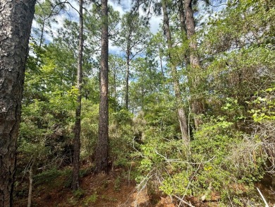 Take a look at this .5 acre Rayburn Country lot in Section E5 on Rayburn Country Club in Texas - for sale on GolfHomes.com, golf home, golf lot