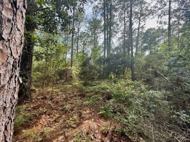 Take a look at this .5 acre Rayburn Country lot in Section E5 on Rayburn Country Club in Texas - for sale on GolfHomes.com, golf home, golf lot