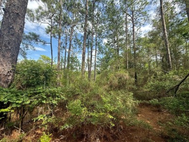 Take a look at this .5 acre Rayburn Country lot in Section E5 on Rayburn Country Club in Texas - for sale on GolfHomes.com, golf home, golf lot