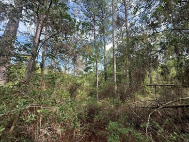 Take a look at this .5 acre Rayburn Country lot in Section E5 on Rayburn Country Club in Texas - for sale on GolfHomes.com, golf home, golf lot