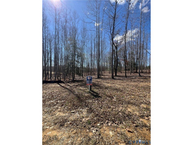 NEW CONSTRUCTION in New Kent's prestigious Viniterra community! on The Club At Viniterra in Virginia - for sale on GolfHomes.com, golf home, golf lot