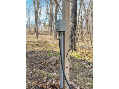 Appealing lot location for that up north MilleLacs area dreamed on Hardwoods Golf Club At Mille Lacs in Minnesota - for sale on GolfHomes.com, golf home, golf lot