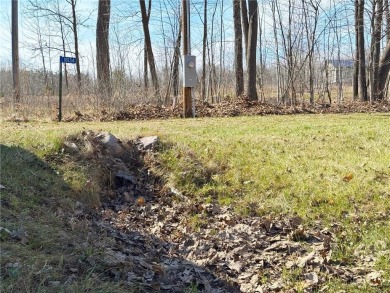 Appealing lot location for that up north MilleLacs area dreamed on Hardwoods Golf Club At Mille Lacs in Minnesota - for sale on GolfHomes.com, golf home, golf lot