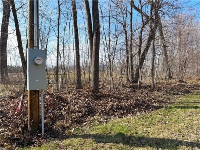 Appealing lot location for that up north MilleLacs area dreamed on Hardwoods Golf Club At Mille Lacs in Minnesota - for sale on GolfHomes.com, golf home, golf lot