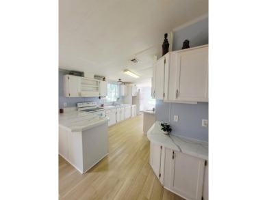 Charming Renovated 3-Bedroom Home Near Manatee Springs!
 on Chiefland Golf and Country Club in Florida - for sale on GolfHomes.com, golf home, golf lot