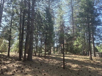 You will love this treed lot in the Siskiyou Lake Highlands on Mount Shasta Resort in California - for sale on GolfHomes.com, golf home, golf lot