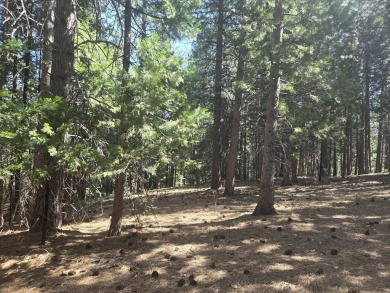 You will love this treed lot in the Siskiyou Lake Highlands on Mount Shasta Resort in California - for sale on GolfHomes.com, golf home, golf lot