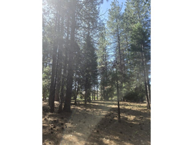 You will love this treed lot in the Siskiyou Lake Highlands on Mount Shasta Resort in California - for sale on GolfHomes.com, golf home, golf lot