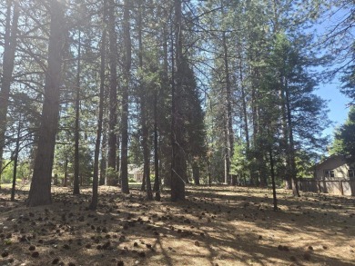 You will love this treed lot in the Siskiyou Lake Highlands on Mount Shasta Resort in California - for sale on GolfHomes.com, golf home, golf lot