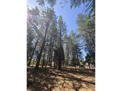 You will love this treed lot in the Siskiyou Lake Highlands on Mount Shasta Resort in California - for sale on GolfHomes.com, golf home, golf lot
