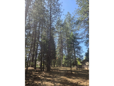 You will love this treed lot in the Siskiyou Lake Highlands on Mount Shasta Resort in California - for sale on GolfHomes.com, golf home, golf lot