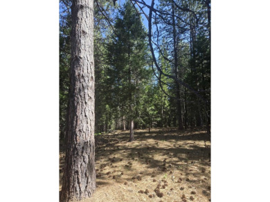 You will love this treed lot in the Siskiyou Lake Highlands on Mount Shasta Resort in California - for sale on GolfHomes.com, golf home, golf lot