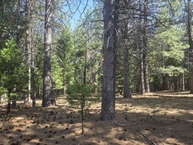You will love this treed lot in the Siskiyou Lake Highlands on Mount Shasta Resort in California - for sale on GolfHomes.com, golf home, golf lot