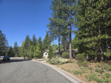 You will love this treed lot in the Siskiyou Lake Highlands on Mount Shasta Resort in California - for sale on GolfHomes.com, golf home, golf lot