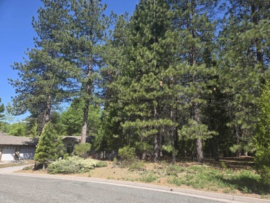 You will love this treed lot in the Siskiyou Lake Highlands on Mount Shasta Resort in California - for sale on GolfHomes.com, golf home, golf lot