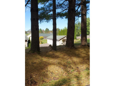 A GREAT OPPORTUNITY for a Villa, located directly off the Blue on Skyland Lakes Golf Course in Virginia - for sale on GolfHomes.com, golf home, golf lot