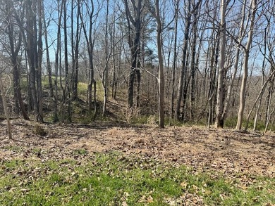 Discover the perfect place to build in the gated Stillwater on Links At Lily Creek Resort in Kentucky - for sale on GolfHomes.com, golf home, golf lot