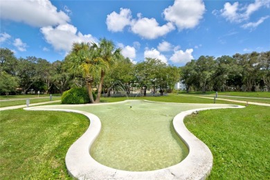 Did you say Pickleball??? It's time for you to Make new friends on On Top Of The World Golf Course in Florida - for sale on GolfHomes.com, golf home, golf lot