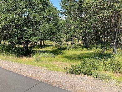 Amost a half acre of very desirable building site at the Running on Running Y Ranch Resort in Oregon - for sale on GolfHomes.com, golf home, golf lot