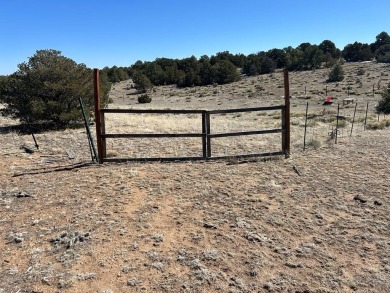 Here's your chance to OWN 40 ACRES in Southern Colorado amongst on Walsenburg Golf Club in Colorado - for sale on GolfHomes.com, golf home, golf lot