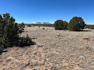 Here's your chance to OWN 40 ACRES in Southern Colorado amongst on Walsenburg Golf Club in Colorado - for sale on GolfHomes.com, golf home, golf lot