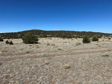 Here's your chance to OWN 40 ACRES in Southern Colorado amongst on Walsenburg Golf Club in Colorado - for sale on GolfHomes.com, golf home, golf lot