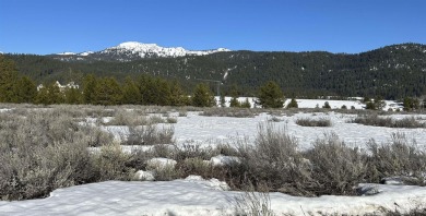 Build your dream home on this PREMIER Sunny 4.62 acre homesite on Jug Mountain Ranch Golf Course in Idaho - for sale on GolfHomes.com, golf home, golf lot