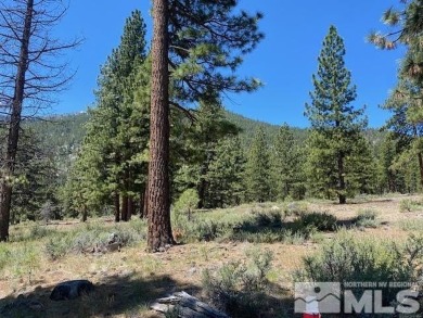Clear Creek Tahoe is Northern Nevada's most exciting new on Clear Creek Tahoe in Nevada - for sale on GolfHomes.com, golf home, golf lot