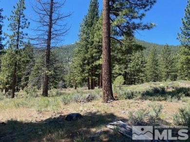 Clear Creek Tahoe is Northern Nevada's most exciting new on Clear Creek Tahoe in Nevada - for sale on GolfHomes.com, golf home, golf lot