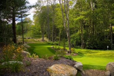 2023 Pristine Dream Home on a perfect lot in the Ridges section on Trillium Links in North Carolina - for sale on GolfHomes.com, golf home, golf lot