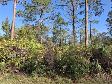 Build your dream home on this oversized wooded lot in the on The Grand Club - Pine Lakes Course in Florida - for sale on GolfHomes.com, golf home, golf lot